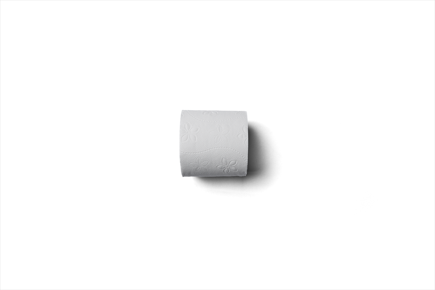Toilettenpapier "Leon´s" 3-lagig